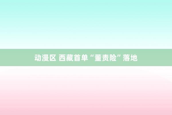 动漫区 西藏首单“董责险”落地