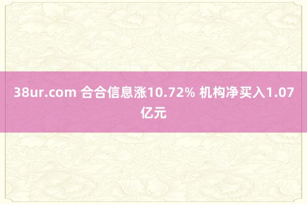 38ur.com 合合信息涨10.72% 机构净买入1.07亿元