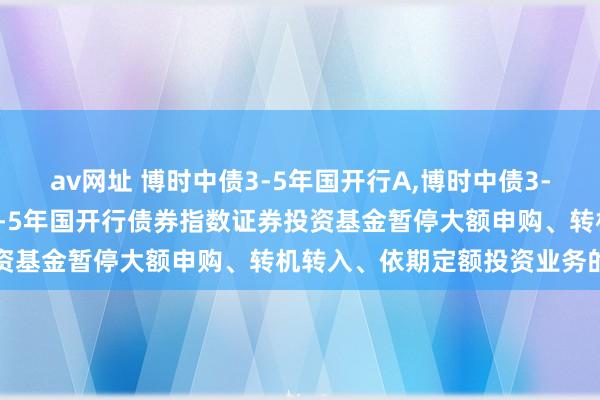 av网址 博时中债3-5年国开行A,博时中债3-5年国开行C: 博时中债3-5年国开行债券指数证券投资基金暂停大额申购、转机转入、依期定额投资业务的公告