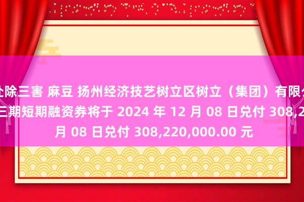 周处除三害 麻豆 扬州经济技艺树立区树立（集团）有限公司 2023 年度第三期短期融资券将于 2024 年 12 月 08 日兑付 308，220，000.00 元