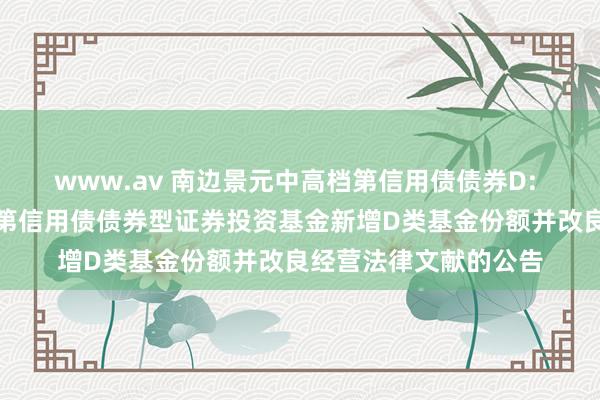 www.av 南边景元中高档第信用债债券D: 对于南边景元中高档第信用债债券型证券投资基金新增D类基金份额并改良经营法律文献的公告