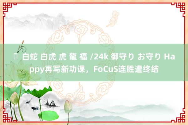 ✨白蛇 白虎 虎 龍 福 /24k 御守り お守り Happy再写新功课，FoCuS连胜遭终结