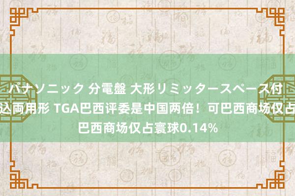 パナソニック 分電盤 大形リミッタースペース付 露出・半埋込両用形 TGA巴西评委是中国两倍！可巴西商场仅占寰球0.14%