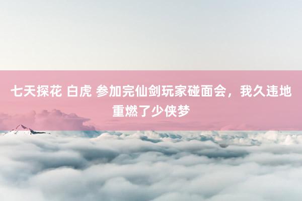 七天探花 白虎 参加完仙剑玩家碰面会，我久违地重燃了少侠梦