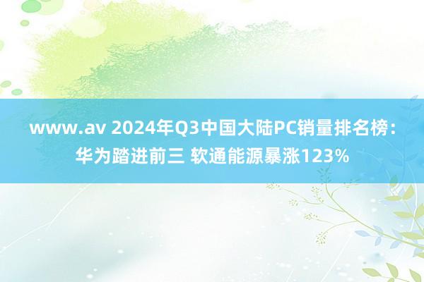 www.av 2024年Q3中国大陆PC销量排名榜：华为踏进前三 软通能源暴涨123%
