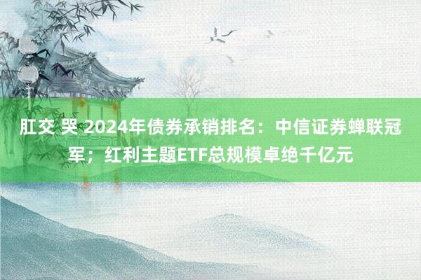 肛交 哭 2024年债券承销排名：中信证券蝉联冠军；红利主题ETF总规模卓绝千亿元
