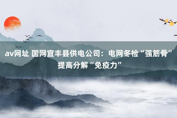 av网址 国网宜丰县供电公司：电网冬检“强筋骨” 提高分解“免疫力”