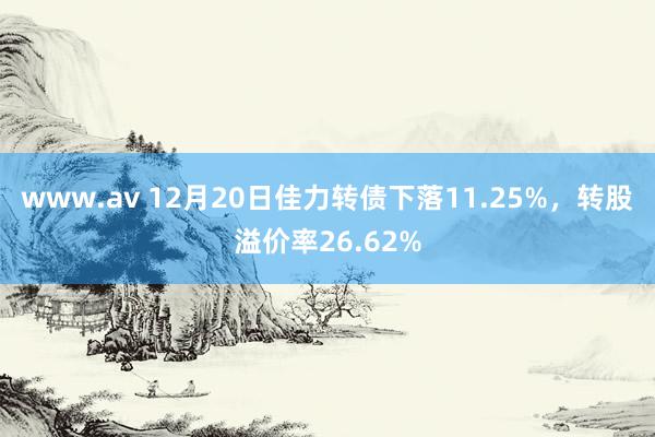 www.av 12月20日佳力转债下落11.25%，转股溢价率26.62%