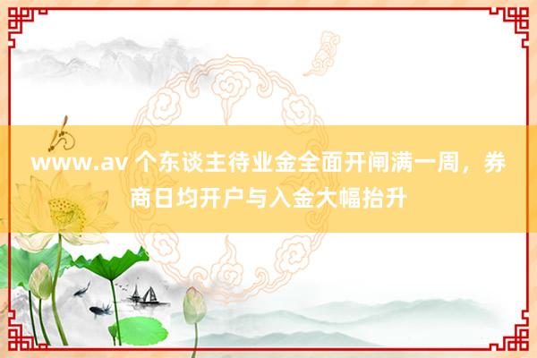 www.av 个东谈主待业金全面开闸满一周，券商日均开户与入金大幅抬升
