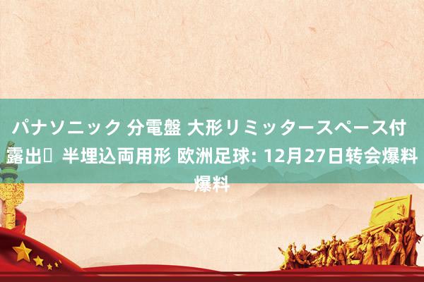 パナソニック 分電盤 大形リミッタースペース付 露出・半埋込両用形 欧洲足球: 12月27日转会爆料