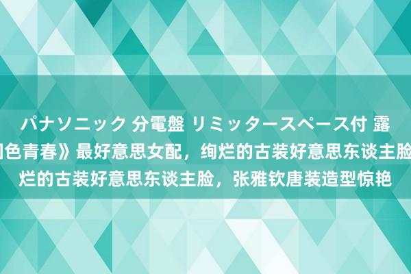 パナソニック 分電盤 リミッタースペース付 露出・半埋込両用形 《国色青春》最好意思女配，绚烂的古装好意思东谈主脸，张雅钦唐装造型惊艳