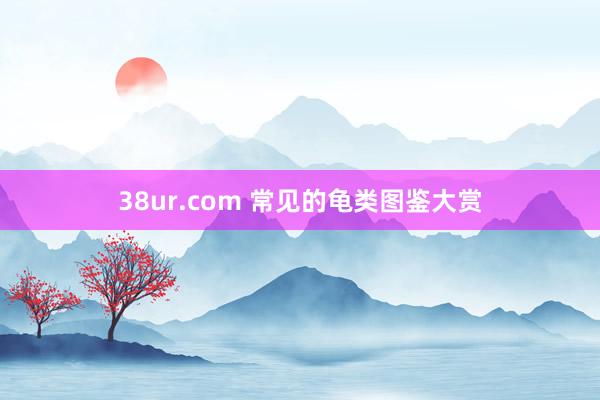38ur.com 常见的龟类图鉴大赏