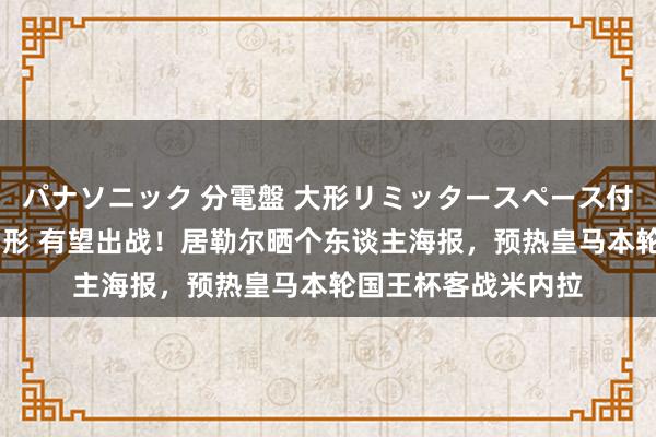 パナソニック 分電盤 大形リミッタースペース付 露出・半埋込両用形 有望出战！居勒尔晒个东谈主海报，预热皇马本轮国王杯客战米内拉