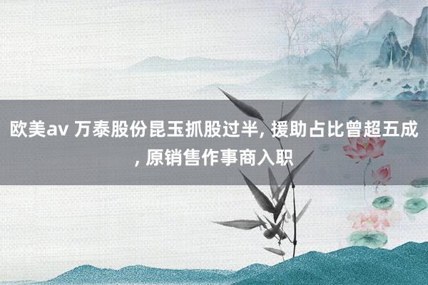 欧美av 万泰股份昆玉抓股过半， 援助占比曾超五成， 原销售作事商入职
