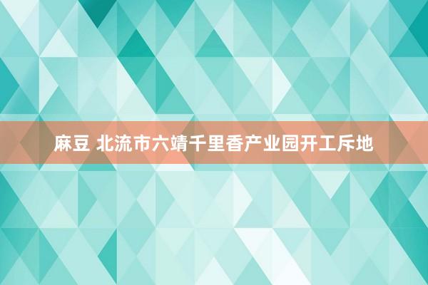 麻豆 北流市六靖千里香产业园开工斥地