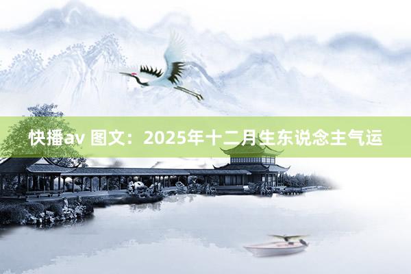 快播av 图文：2025年十二月生东说念主气运