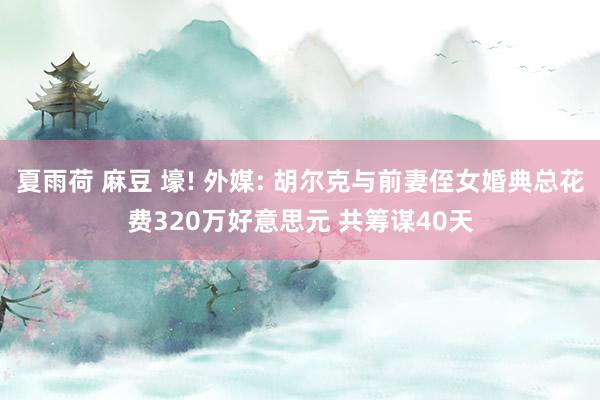 夏雨荷 麻豆 壕! 外媒: 胡尔克与前妻侄女婚典总花费320万好意思元 共筹谋40天
