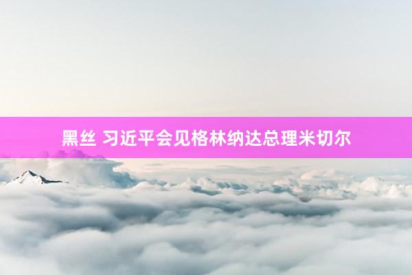 黑丝 习近平会见格林纳达总理米切尔