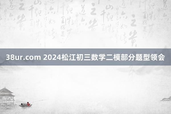 38ur.com 2024松江初三数学二模部分题型领会