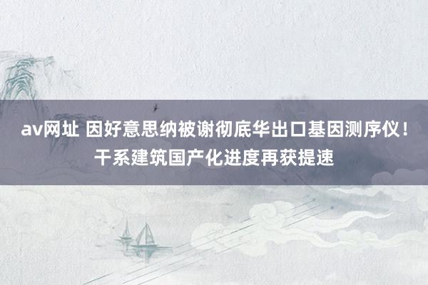 av网址 因好意思纳被谢彻底华出口基因测序仪！干系建筑国产化进度再获提速
