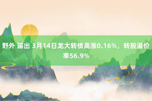 野外 露出 3月14日龙大转债高涨0.16%，转股溢价率56.9%