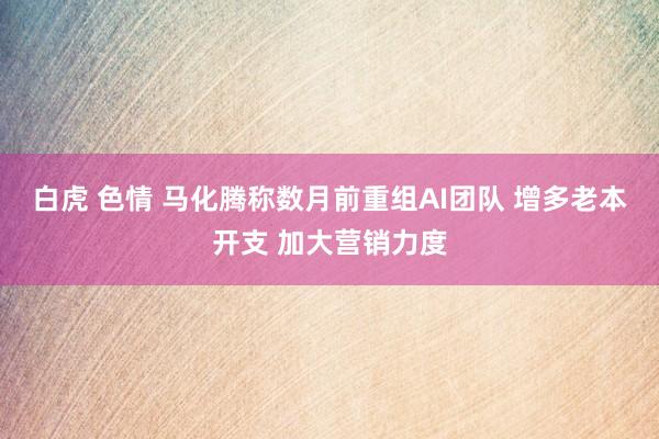 白虎 色情 马化腾称数月前重组AI团队 增多老本开支 加大营销力度