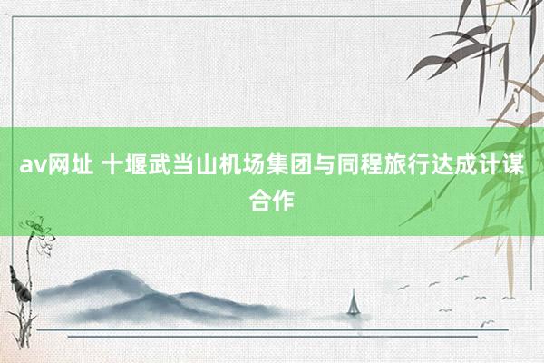 av网址 十堰武当山机场集团与同程旅行达成计谋合作
