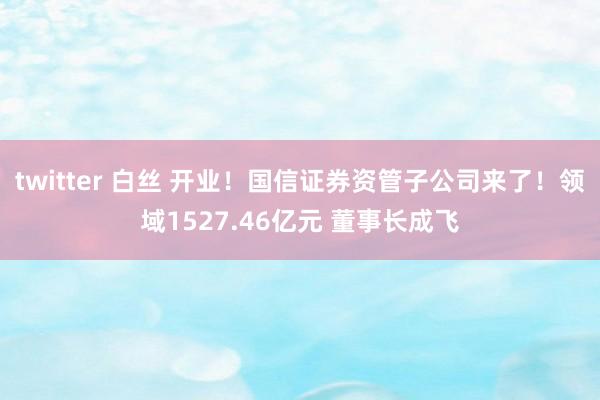 twitter 白丝 开业！国信证券资管子公司来了！领域1527.46亿元 董事长成飞
