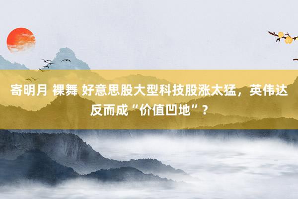 寄明月 裸舞 好意思股大型科技股涨太猛，英伟达反而成“价值凹地”？