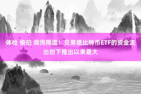 体检 偷拍 阛阓降温！贝莱德比特币ETF的资金流出创下推出以来最大
