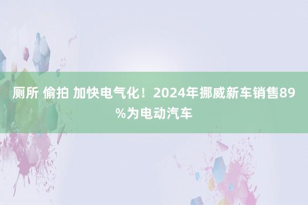 厕所 偷拍 加快电气化！2024年挪威新车销售89%为电动汽车