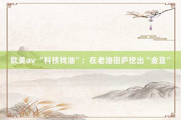 欧美av “科技找油”：在老油田庐挖出“金豆”