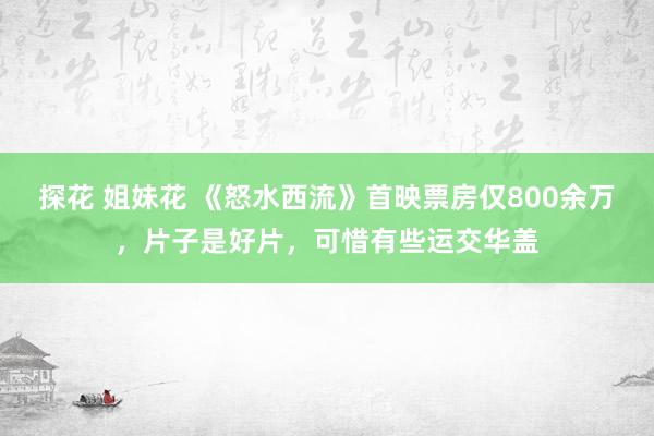 探花 姐妹花 《怒水西流》首映票房仅800余万，片子是好片，可惜有些运交华盖