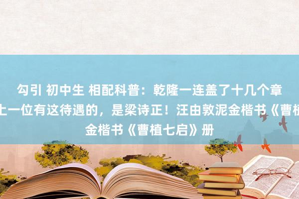 勾引 初中生 相配科普：乾隆一连盖了十几个章的楷书，上一位有这待遇的，是梁诗正！汪由敦泥金楷书《曹植七启》册