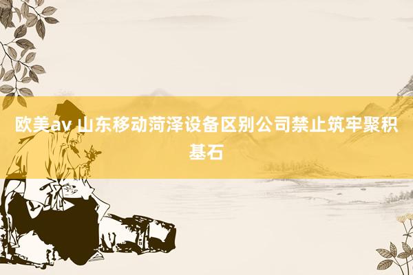 欧美av 山东移动菏泽设备区别公司禁止筑牢聚积基石
