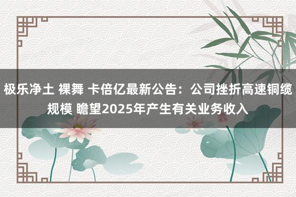 极乐净土 裸舞 卡倍亿最新公告：公司挫折高速铜缆规模 瞻望2025年产生有关业务收入