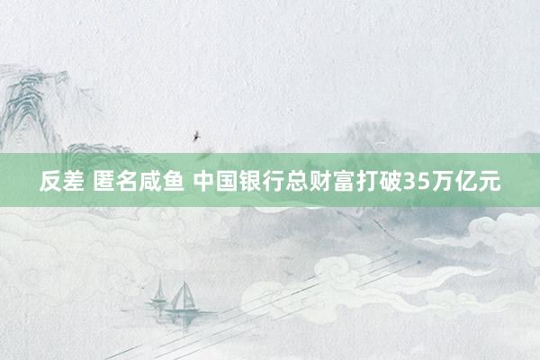 反差 匿名咸鱼 中国银行总财富打破35万亿元