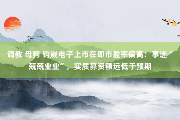 调教 母狗 钧崴电子上市在即市盈率偏高：事迹“兢兢业业”，实质募资额远低于预期