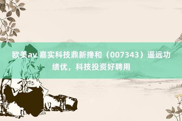 欧美av 嘉实科技鼎新搀和（007343）遥远功绩优，科技投资好聘用