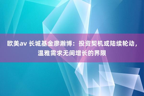 欧美av 长城基金廖瀚博：投资契机或陆续轮动，温雅需求无间增长的界限