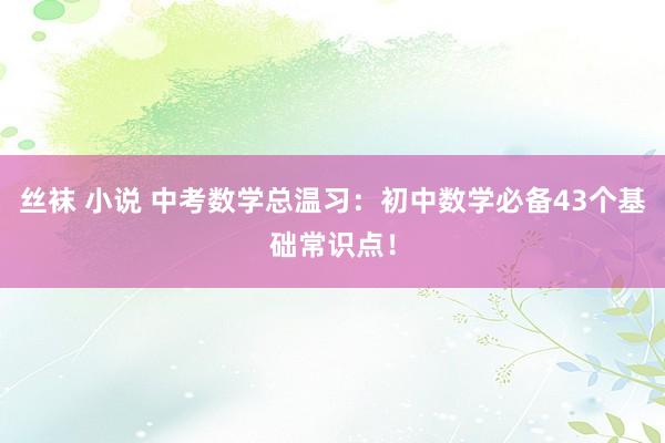 丝袜 小说 中考数学总温习：初中数学必备43个基础常识点！