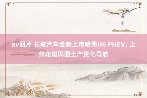 av图片 长城汽车全新上市哈弗H6 PHEV， 上线花瓣舆图土产货化导航