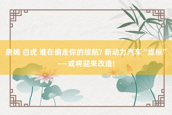唐嫣 白虎 谁在偷走你的续航? 新动力汽车“虚标”——或将迎来改造!
