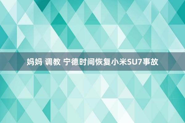 妈妈 调教 宁德时间恢复小米SU7事故