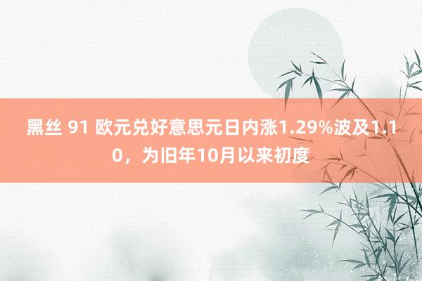 黑丝 91 欧元兑好意思元日内涨1.29%波及1.10，为旧年10月以来初度