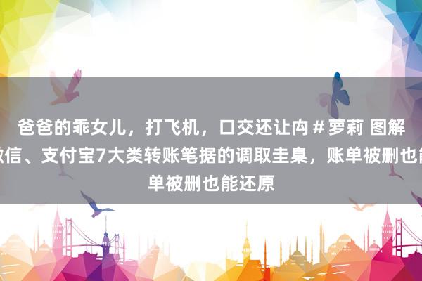 爸爸的乖女儿，打飞机，口交还让禸＃萝莉 图解！涉微信、支付宝7大类转账笔据的调取圭臬，账单被删也能还原