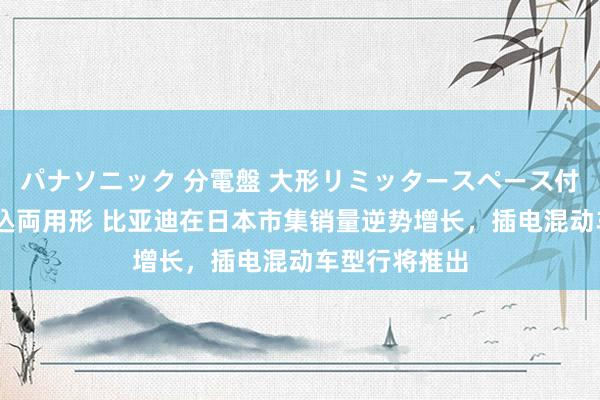 パナソニック 分電盤 大形リミッタースペース付 露出・半埋込両用形 比亚迪在日本市集销量逆势增长，插电混动车型行将推出