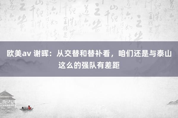 欧美av 谢晖：从交替和替补看，咱们还是与泰山这么的强队有差距