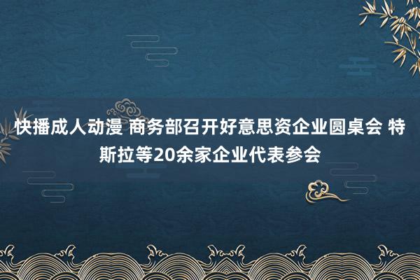 快播成人动漫 商务部召开好意思资企业圆桌会 特斯拉等20余家企业代表参会