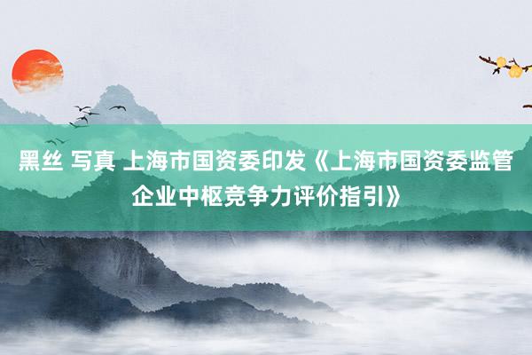 黑丝 写真 上海市国资委印发《上海市国资委监管企业中枢竞争力评价指引》